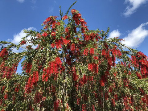 Destiny's Run Retreat - Accommodation Tasmania 1