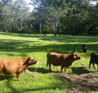 Dingley Dell - Accommodation Tasmania