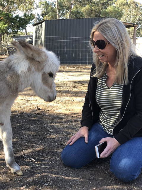Donkey Tales Farm Cottages - Accommodation Tasmania 1