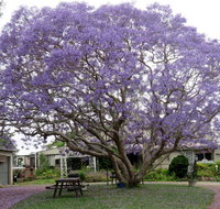 Ecotel Narooma - Accommodation Tasmania