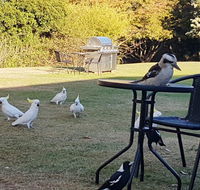 Eildon Parkview Motor Inn - Accommodation Tasmania