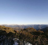Elkhorn 7 - Accommodation Tasmania
