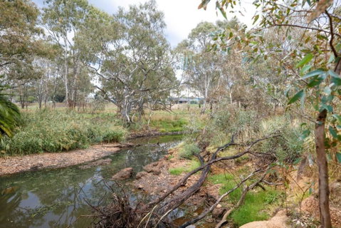 Faraday On Avoca - Accommodation Tasmania 3