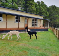Farm Stay Lowana Strahan - Accommodation Tasmania