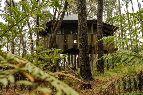 Federation Gardens & Possums Hideaway - Accommodation Tasmania 2