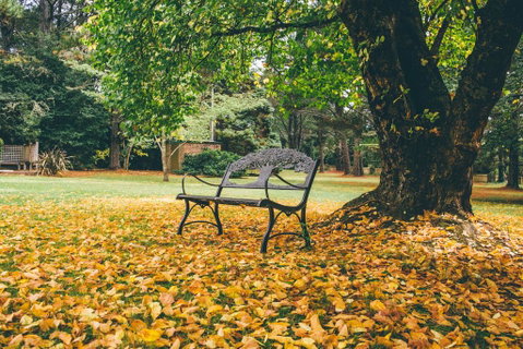 Federation Gardens & Possums Hideaway - Accommodation Tasmania 1