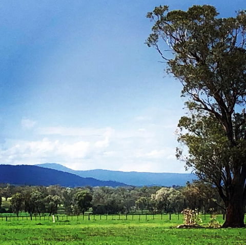 Fourjay Farmstay - Accommodation Tasmania 0