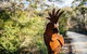 Freycinet Resort - thumb 2