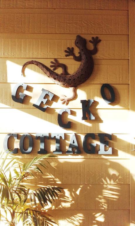 Gecko Cottage - Accommodation Tasmania 3