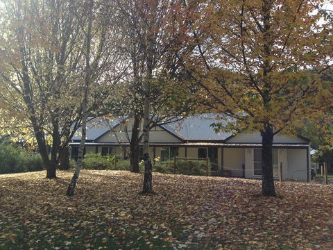 Goldberryaccommodation - Accommodation Tasmania 0