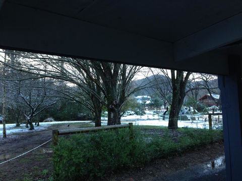 Goldberryaccommodation - Accommodation Tasmania 3