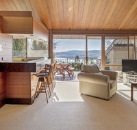 Grey Kangaroo- On Lake Jindabyne foreshore - Accommodation Tasmania