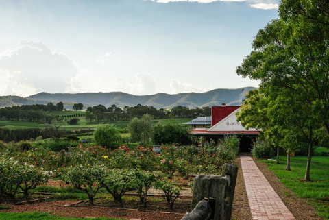 Hanging Tree Wines - Accommodation Tasmania 0