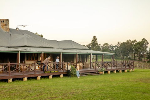 Hanging Tree Wines - Accommodation Tasmania 1