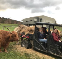 Highland Getaway - Accommodation Tasmania