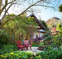Hills End Camellia - Accommodation Tasmania