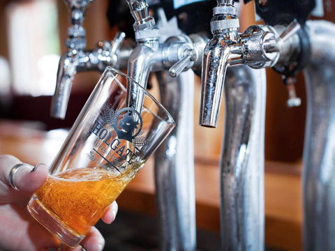 Holgate Brewhouse - Accommodation Tasmania 0