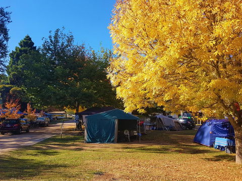 Jamieson Caravan Park - Accommodation Tasmania 2