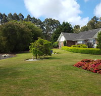 Jarrah - Accommodation Tasmania