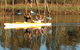 Lake Tinaroo Waterfrontage - thumb 3