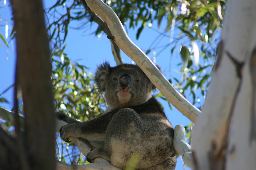  Accommodation Tasmania
