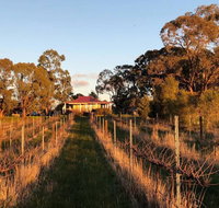 Lillicur Vineyard BB - Accommodation Tasmania