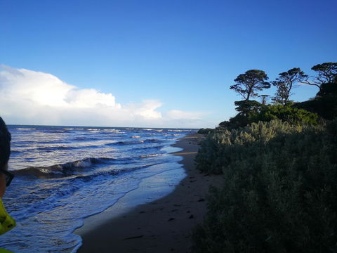 Lily Family - Accommodation Tasmania 2