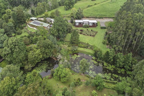 Lilypad Luxury Cabins - Accommodation Tasmania 3