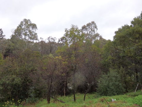 Mandall Avenue - Accommodation Tasmania 2