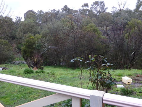 Mandall Avenue - Accommodation Tasmania 1