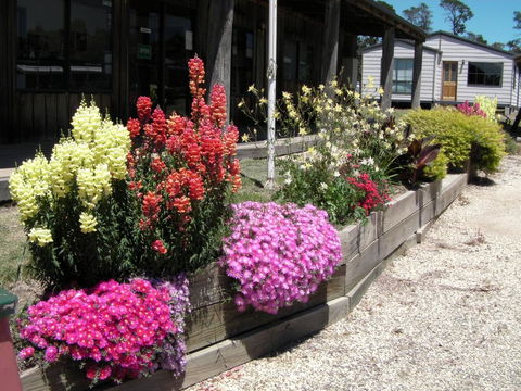 Mansfield Holiday Park - Accommodation Tasmania 3