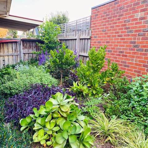 Maroondah 3 Bedroom House In Kilsyth - Accommodation Tasmania 3