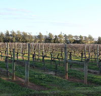 Milawa Vineyard Views - Guesthouse 2 - Accommodation Tasmania