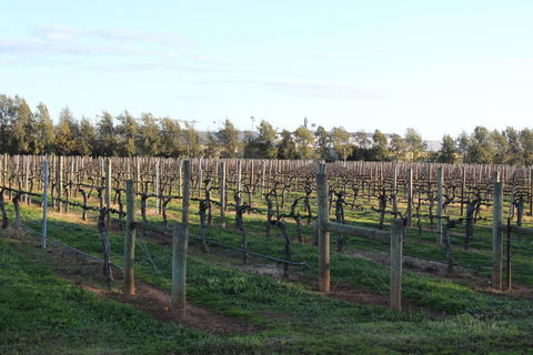 Milawa Vineyard Views - Guesthouse 2 - Accommodation Tasmania 0