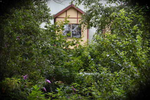 Mountain Lodge - Accommodation Tasmania 1