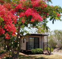 Mt Larcom Tourist Park - Accommodation Tasmania