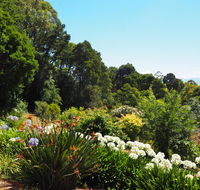 Murrindindi - Accommodation Tasmania