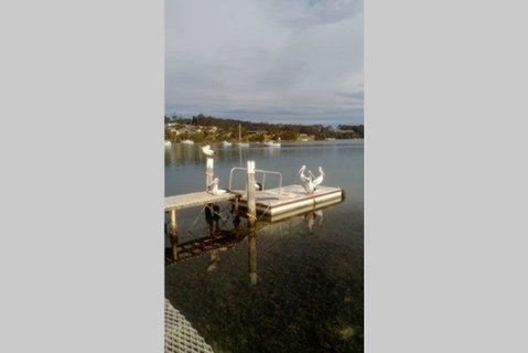 Narooma House With A View - Accommodation Tasmania 1