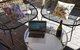 Holiday Home Near Perth City / Airport / Stadium / Casino - thumb 8