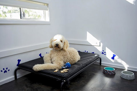 Discovery Parks - Woodman Point - Accommodation Tasmania 7