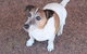 Jacaranda Hideaway Bed & Breakfast - thumb 13