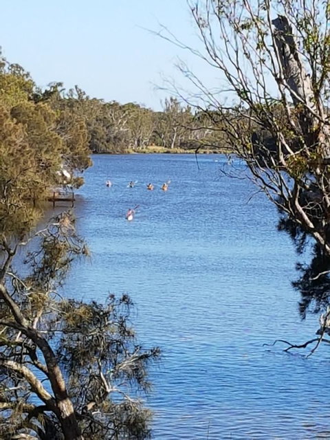 Jacaranda Hideaway Bed & Breakfast - Accommodation Tasmania 19
