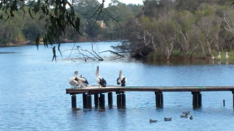 Jacaranda Hideaway Bed & Breakfast - Accommodation Tasmania 18