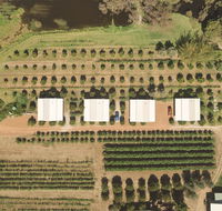 Swan Valley Sisters - Accommodation Tasmania