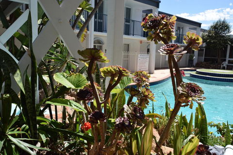 Seashore Memories - Sleeps 3 - Accommodation Tasmania 14