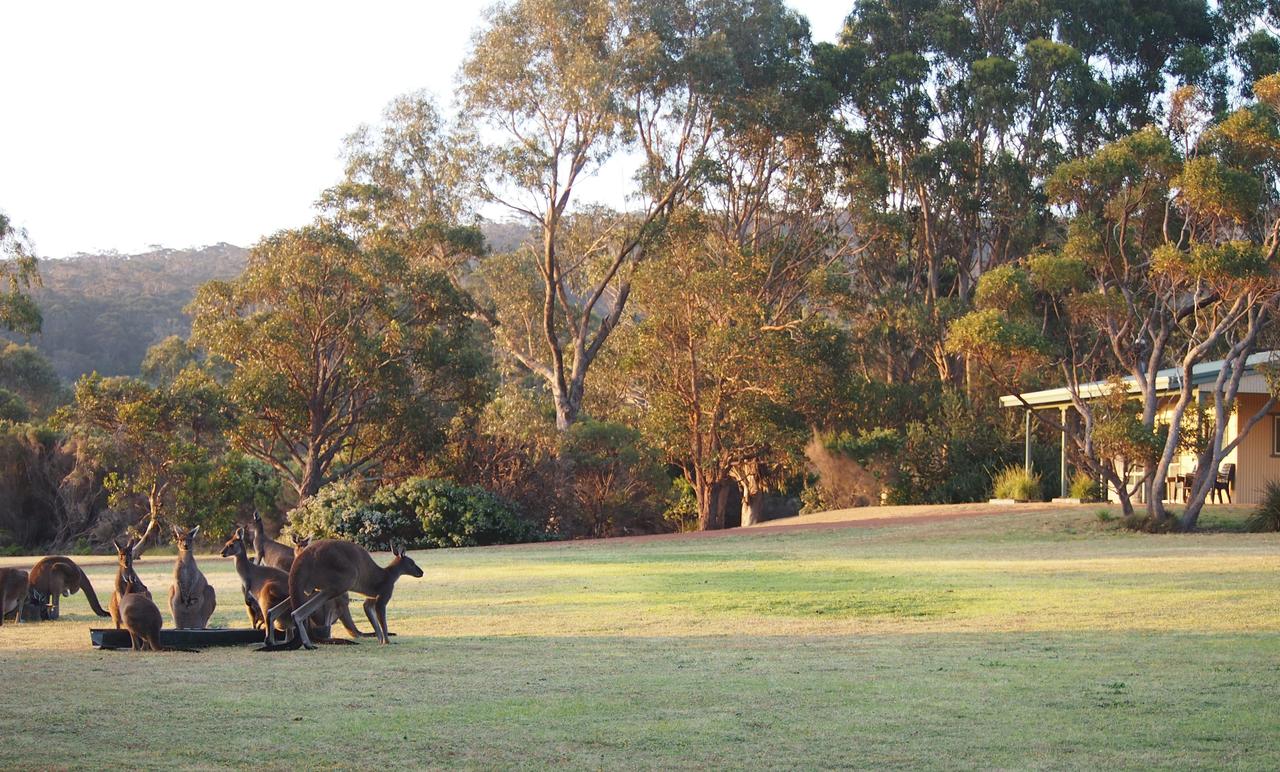  Accommodation Tasmania