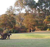 Riverside Retreat Chalets Walpole - Accommodation Tasmania
