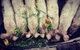 Kellers Bed And Breakfast - thumb 34