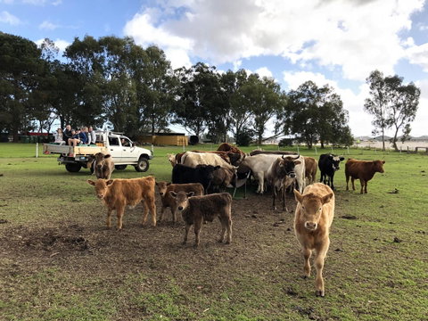 Kellers Bed And Breakfast - Accommodation Tasmania 33
