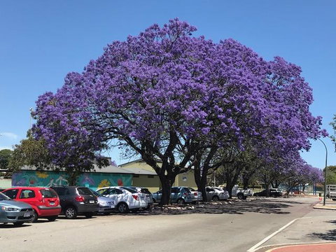 Gerring Court With Free 1 Car Bay Parking - Accommodation Tasmania 20